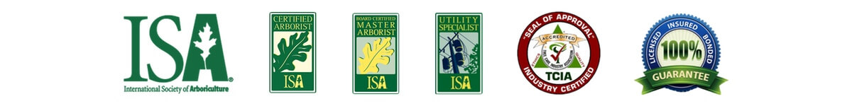 landscaping certifications and associations
