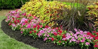 ANNUAL PLANT INSTALLATION Landscaping Design