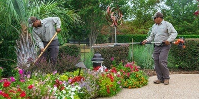 Landscaping Specialist landscaping specialists