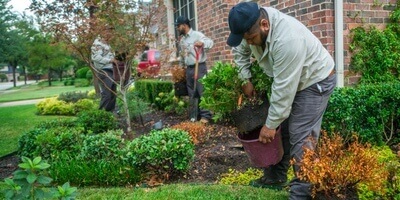 lawn service