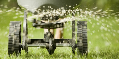 lawn fertilization