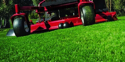 lawn maintenance