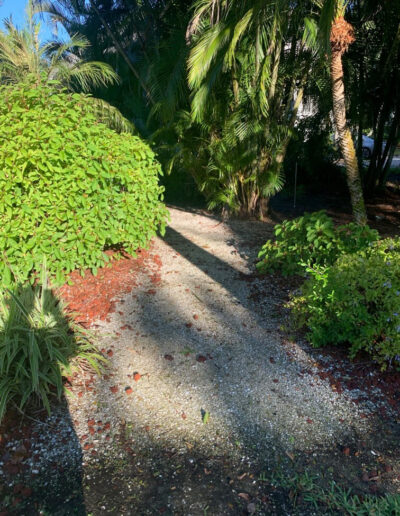 shell and rock pathway