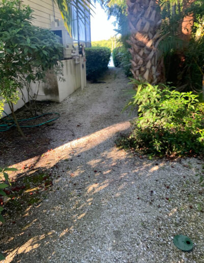shell and rock pathway