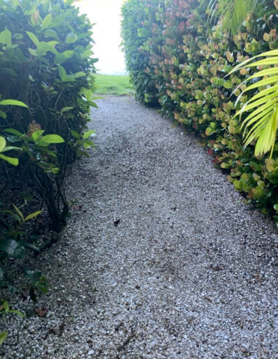 shell and rock pathway