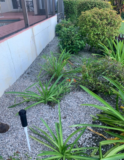 shell and rock install