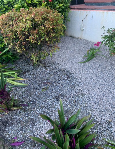 shell and rock install
