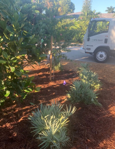 Landscaping