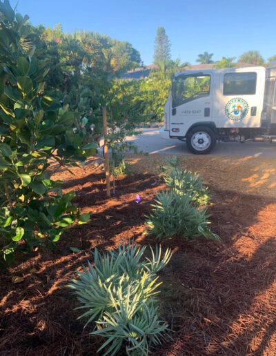 Landscaping