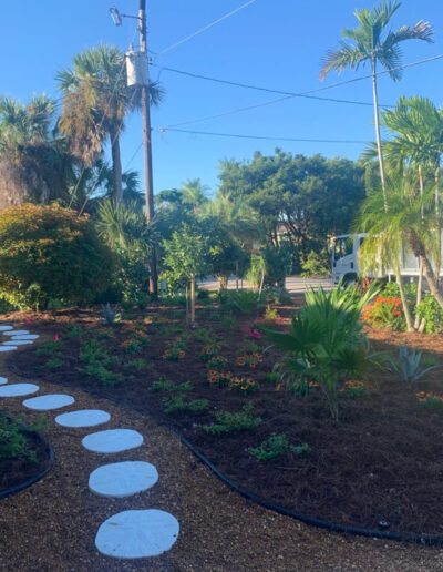 Landscaping backyard