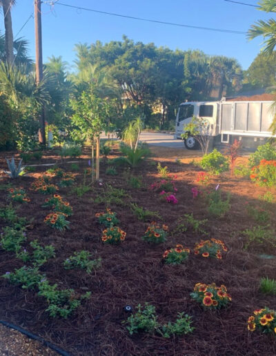 Landscaping seasonal plants