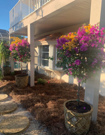 Landscaping