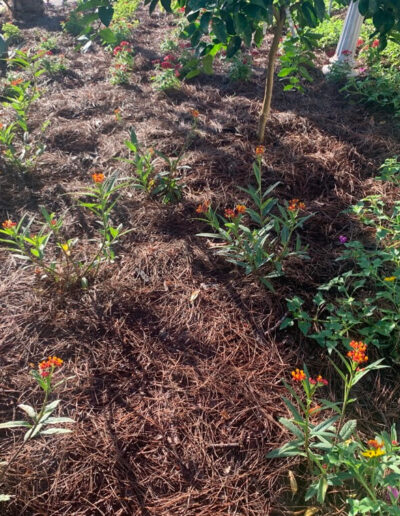 Landscaping mulch
