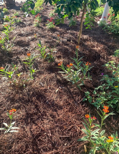 Landscaping mulch