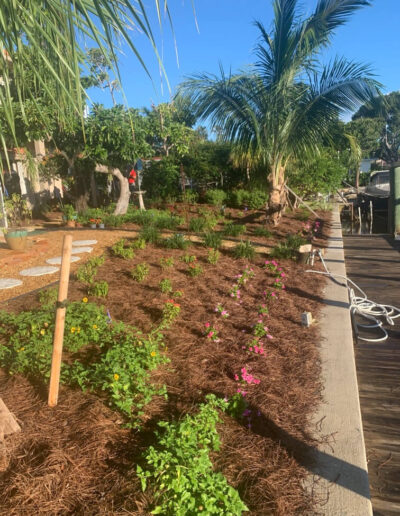 Landscaping