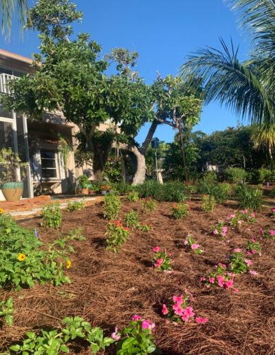 Landscaping