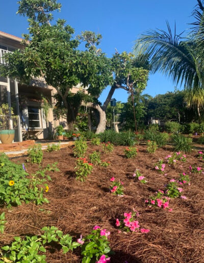 Landscaping
