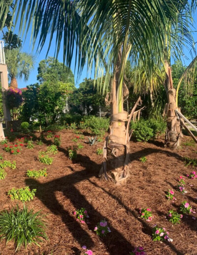 Landscaping