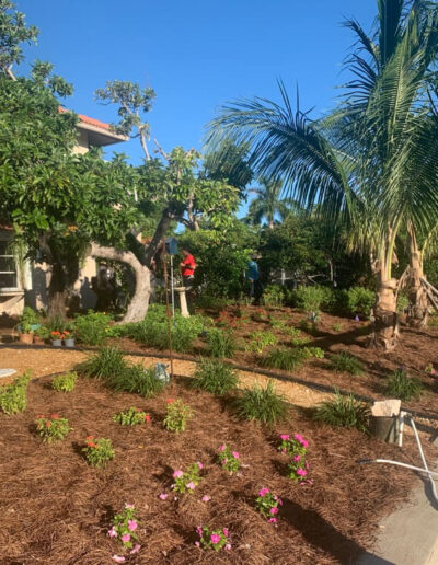 Landscaping