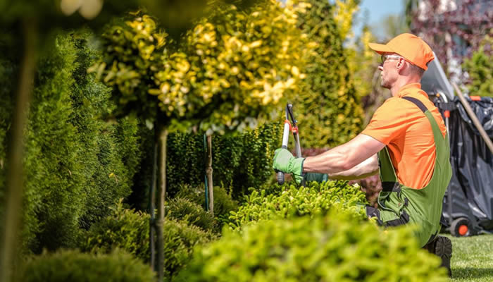 landscape contractor