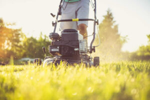 cutting grass in SW Florida