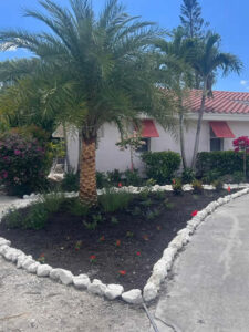 types of landscaping